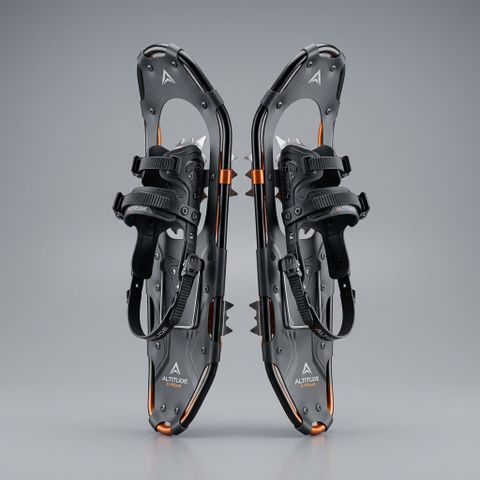 Snowshoes